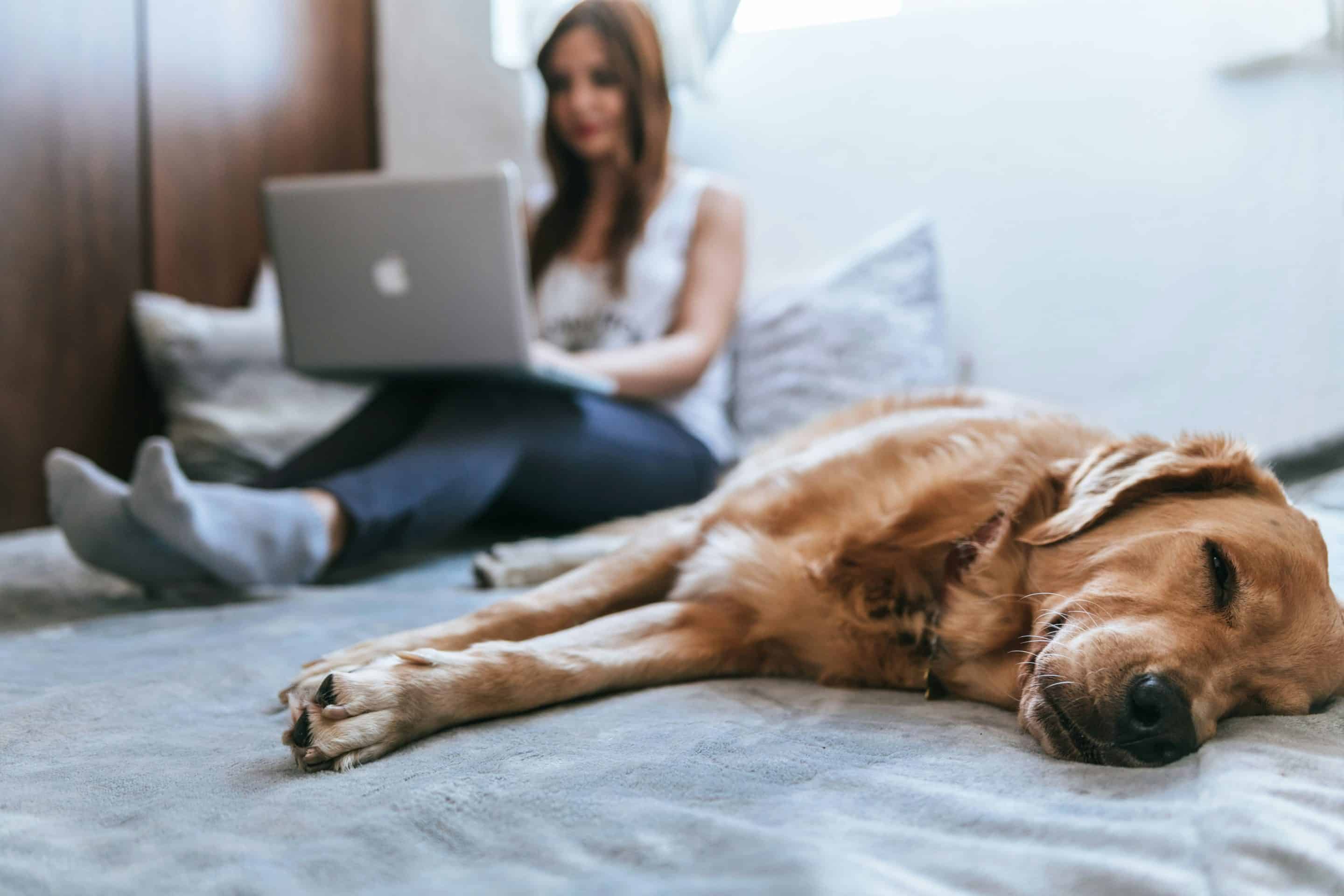woman and dog hanging out on bed